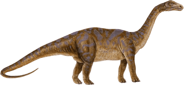 dinozaur