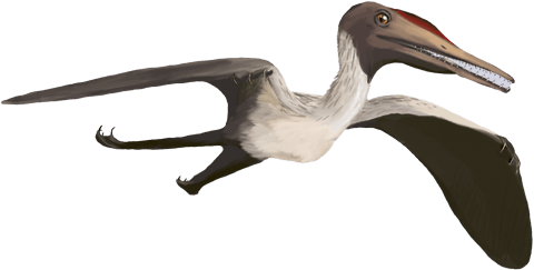 dinozaur